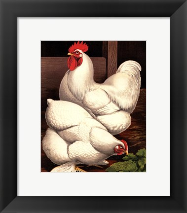 Framed Cassell&#39;s Roosters I Print