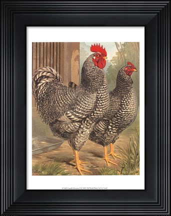 Framed Cassell&#39;s Roosters II Print