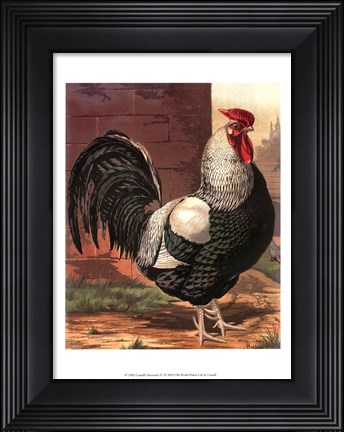 Framed Cassell&#39;s Roosters IV Print