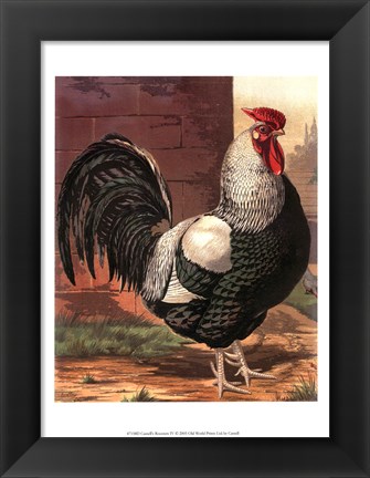 Framed Cassell&#39;s Roosters IV Print