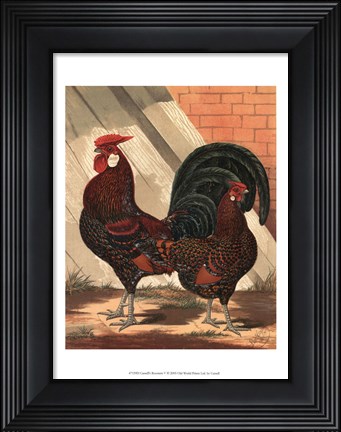 Framed Cassell&#39;s Roosters V Print
