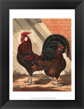 Framed Cassell&#39;s Roosters V Print