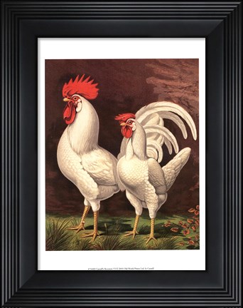Framed Cassell&#39;s Roosters VI Print
