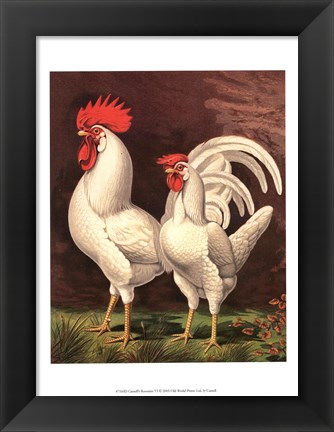 Framed Cassell&#39;s Roosters VI Print