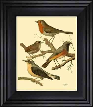 Framed Domestic Bird Family III Print
