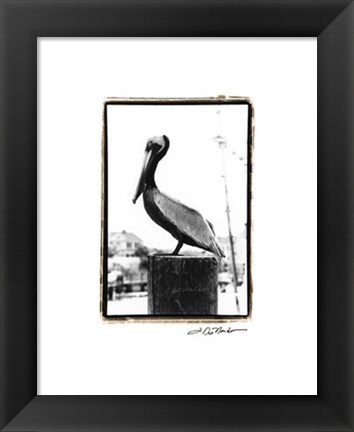 Framed Pelican Perch Print