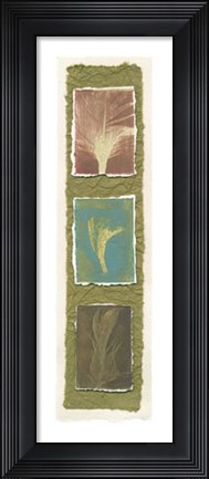 Framed Feather Fossils I on FAP Print