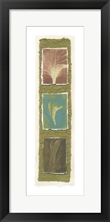 Framed Feather Fossils I on FAP Print
