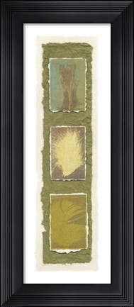 Framed Feather Fossils II on FAP Print