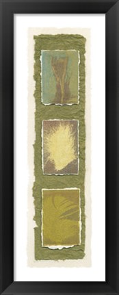 Framed Feather Fossils II on FAP Print