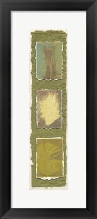 Framed Feather Fossils II on FAP Print
