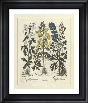 Framed Floral I Print