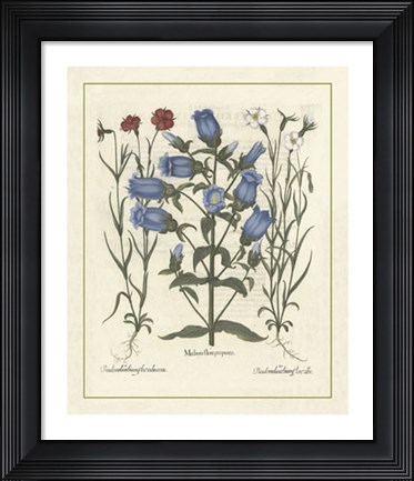 Framed Floral IV Print