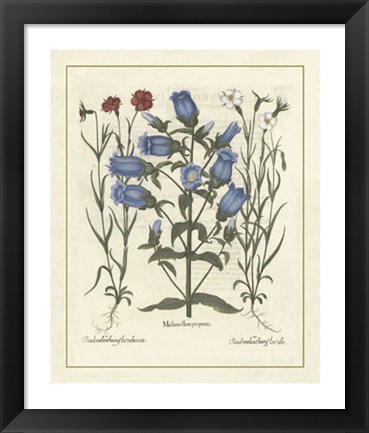 Framed Floral IV Print