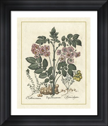 Framed Floral V Print