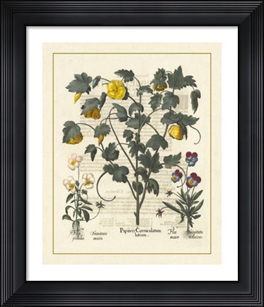 Framed Floral VI Print