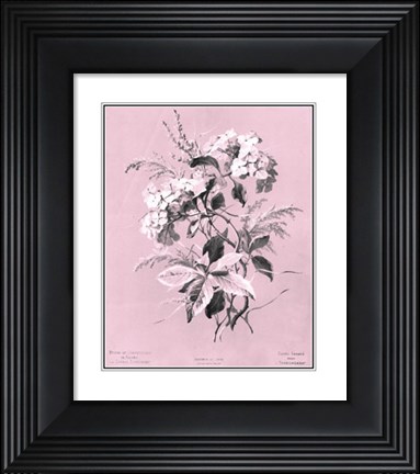 Framed Hydrangea on Pink Print