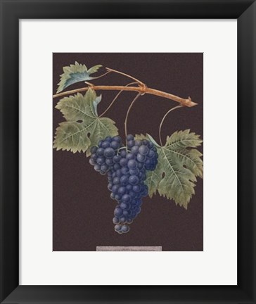 Framed Purple Grapes Print