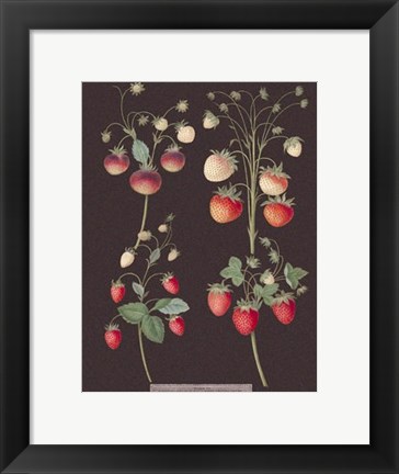 Framed Strawberries Print