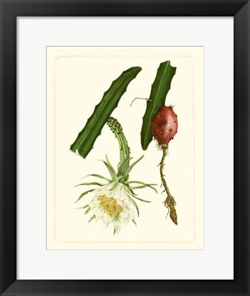 Framed Exotic Flora II Print