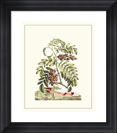 Framed Grandiose View I Print