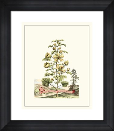 Framed Grandiose View II Print