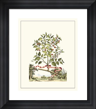 Framed Grandiose View III Print