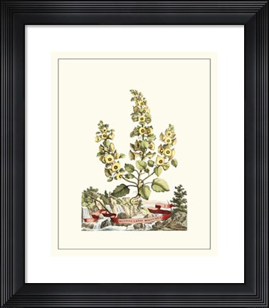 Framed Grandiose View IV Print