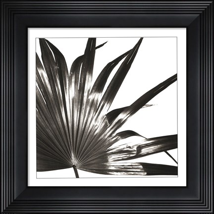 Framed Black and White Palm I Print