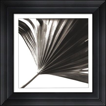 Framed Black and White Palm II Print