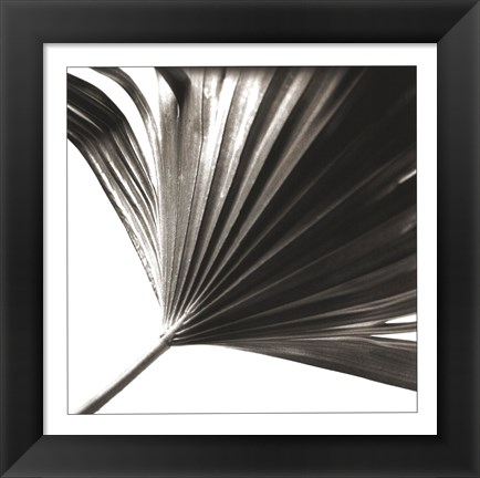 Framed Black and White Palm II Print