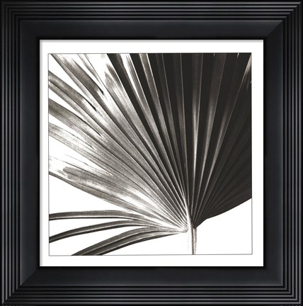 Framed Black and White Palm IV Print