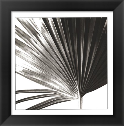 Framed Black and White Palm IV Print