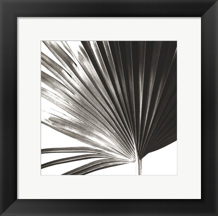 Framed Black and White Palm IV Print