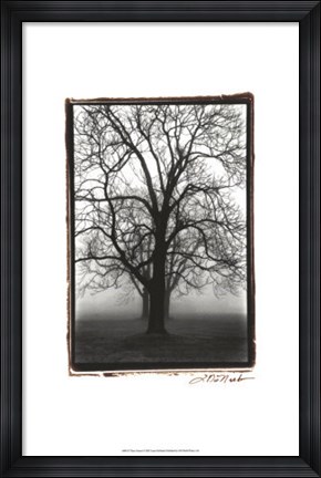 Framed Dewerelt Caart Map Print