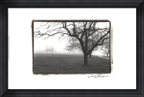 Framed Novi Orbis Map Print