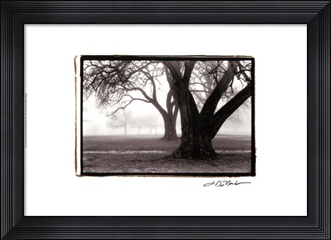 Framed Strength ; Beauty Print