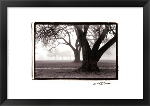 Framed Strength ; Beauty Print