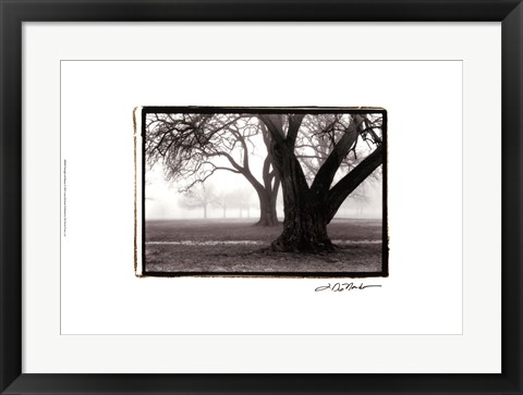 Framed Strength ; Beauty Print