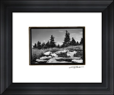 Framed Rocky Green Print