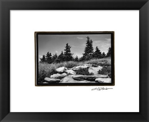 Framed Rocky Green Print