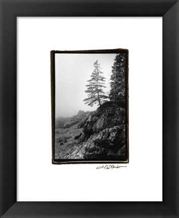 Framed Lone Tree Print
