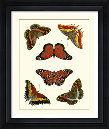 Framed Butterflies I Print