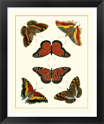 Framed Butterflies I Print