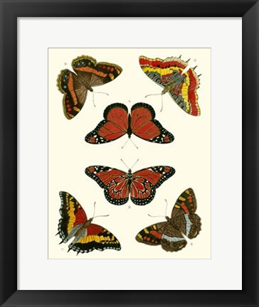 Framed Butterflies I Print