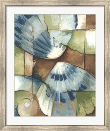 Framed Shell Collage II Print