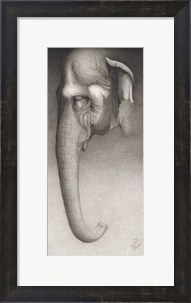Framed Toni, The Elephant Print