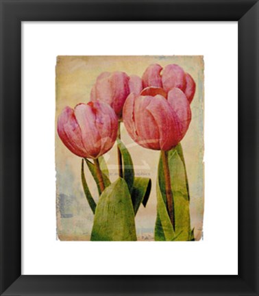 Framed Cheri Print