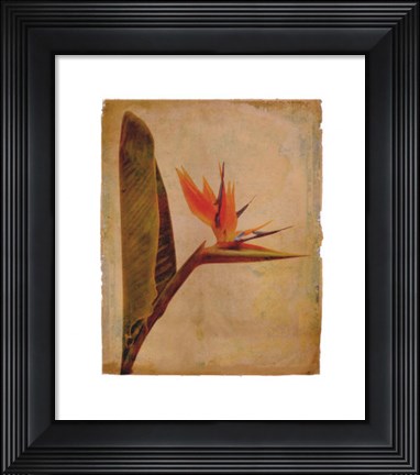 Framed Kauai Print