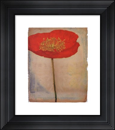 Framed Papavero Print